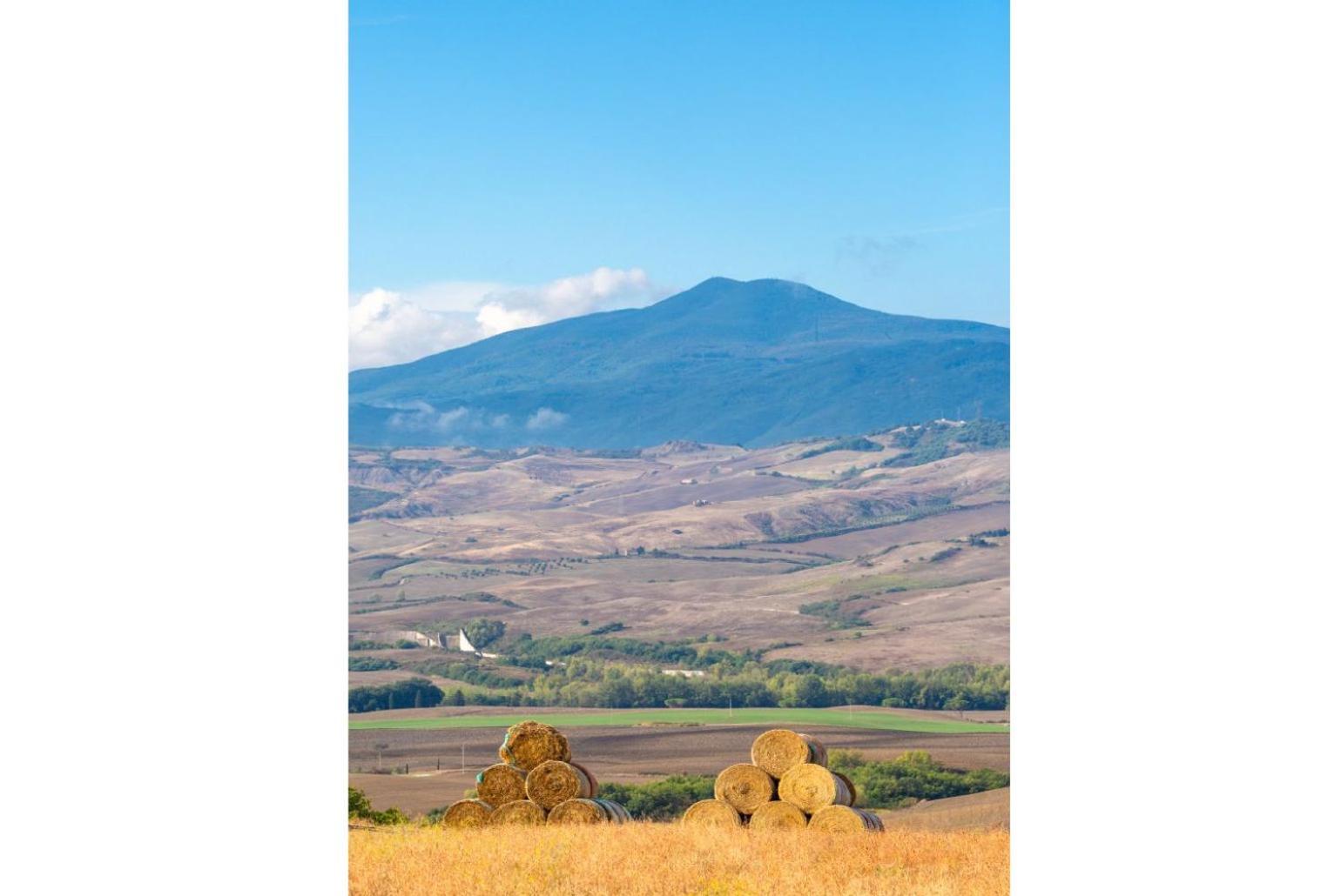 Villa Podere Belvedere เซียนา ภายนอก รูปภาพ