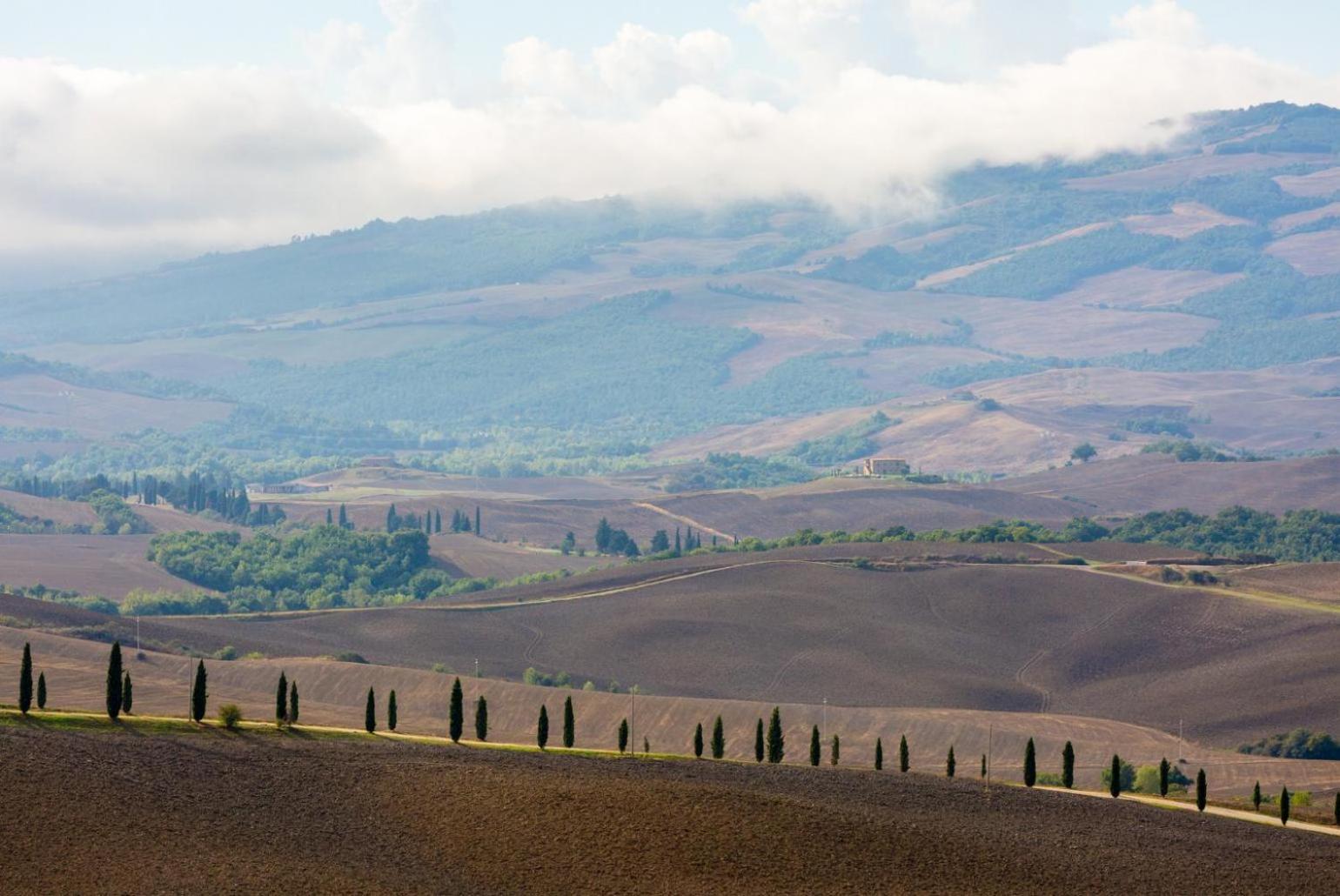 Villa Podere Belvedere เซียนา ภายนอก รูปภาพ